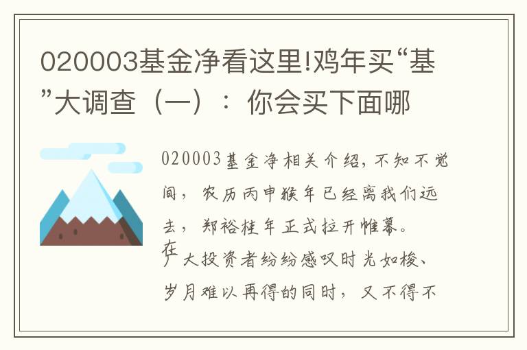 020003基金净看这里!鸡年买“基”大调查（一）：你会买下面哪只混合基金？