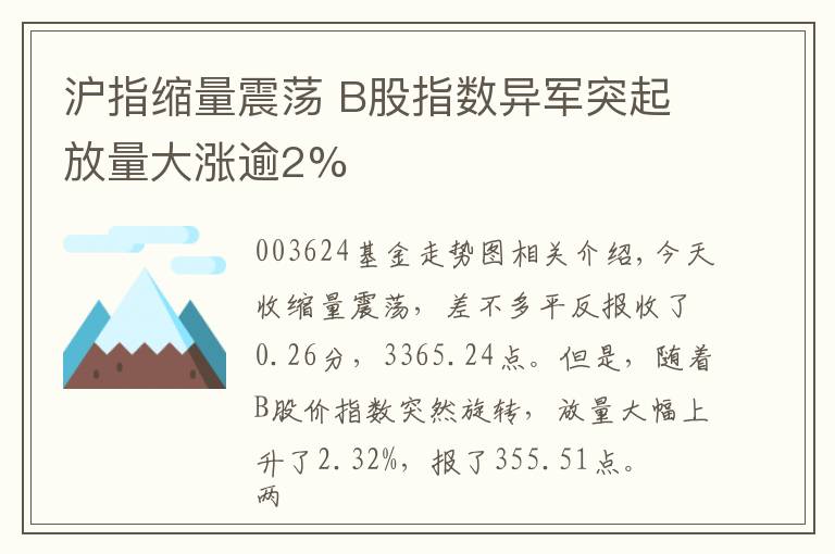 沪指缩量震荡 B股指数异军突起放量大涨逾2%文章配图