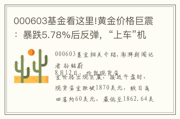 000603基金看这里!黄金价格巨震：暴跌5.78%后反弹，“上车”机会又来了？