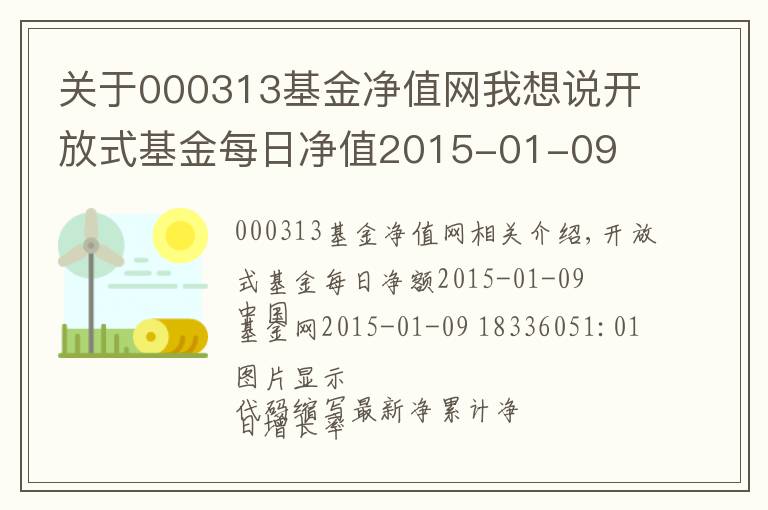 关于000313基金净值网我想说开放式基金每日净值2015-01-09