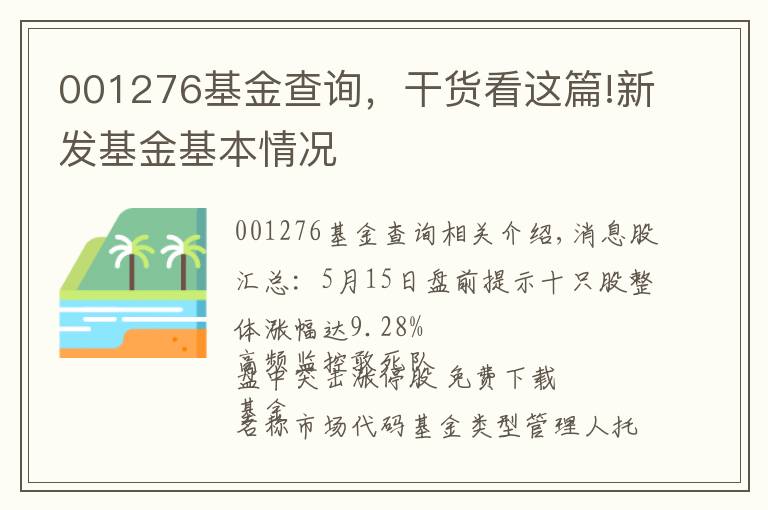 001276基金查询，干货看这篇!新发基金基本情况