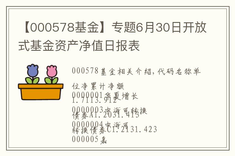 【000578基金】专题6月30日开放式基金资产净值日报表