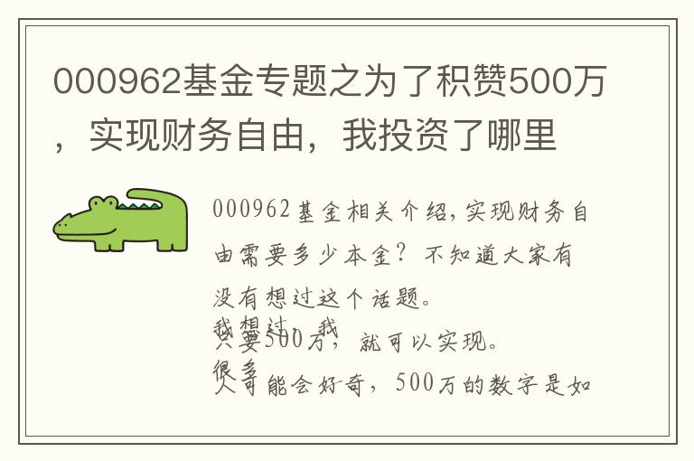 000962基金专题之为了积赞500万，实现财务自由，我投资了哪里理财标的