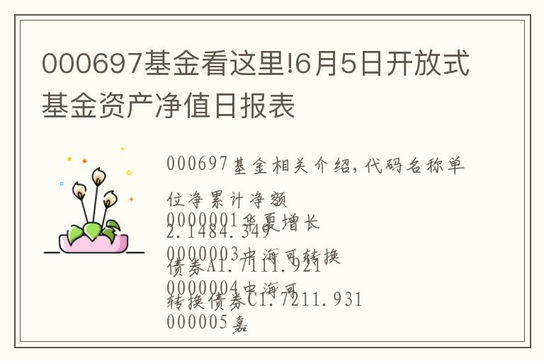 000697基金看这里!6月5日开放式基金资产净值日报表