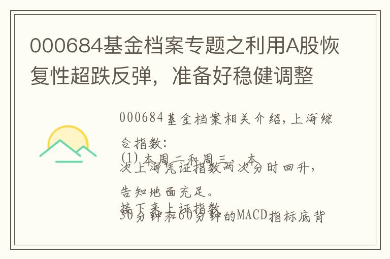 000684基金档案专题之利用A股恢复性超跌反弹，准备好稳健调整仓位结构