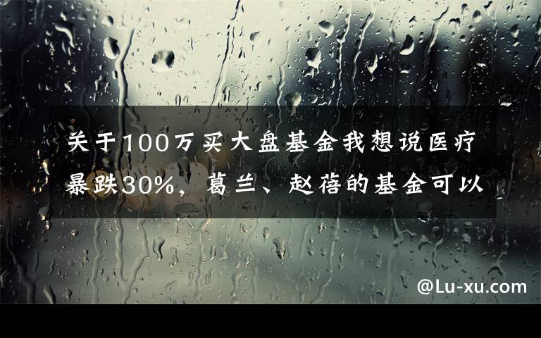 关于100万买大盘基金我想说医疗暴跌30%，葛兰、赵蓓的基金可以抄底了吗？