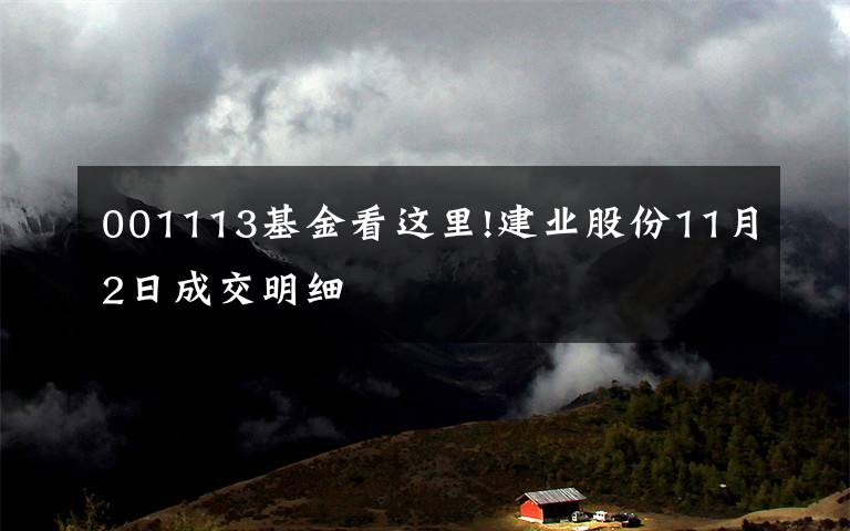 001113基金看这里!建业股份11月2日成交明细