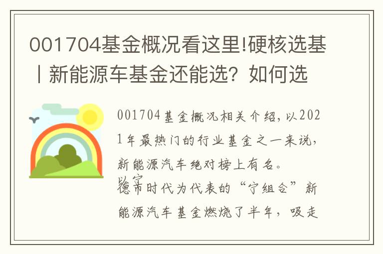 001704基金概况看这里!硬核选基丨新能源车基金还能选？如何选？