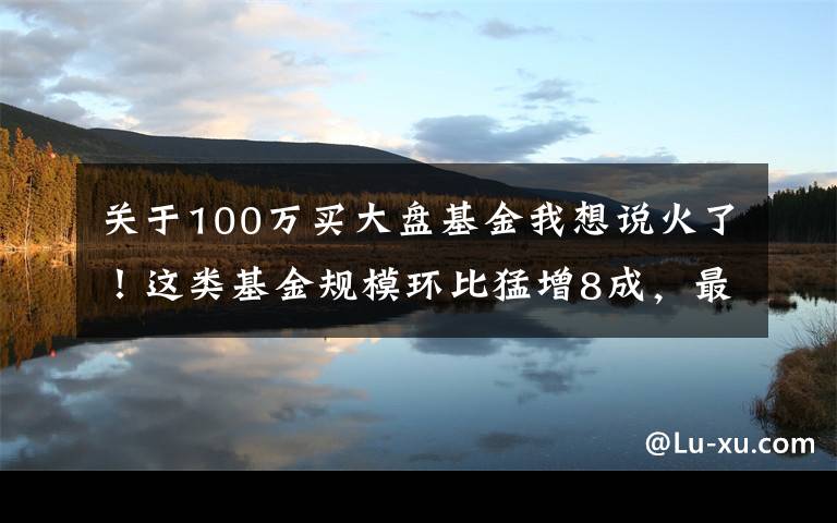 关于100万买大盘基金我想说火了！这类基金规模环比猛增8成，最高暴增590%