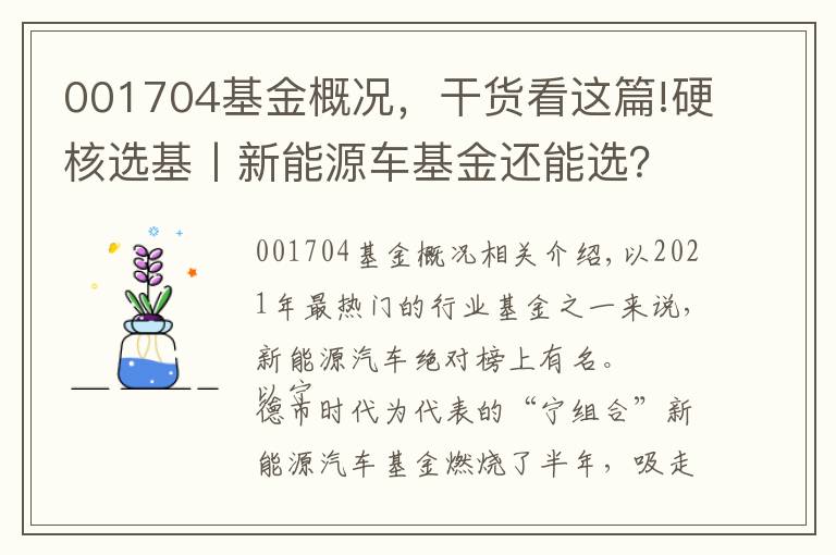 001704基金概况，干货看这篇!硬核选基丨新能源车基金还能选？如何选？