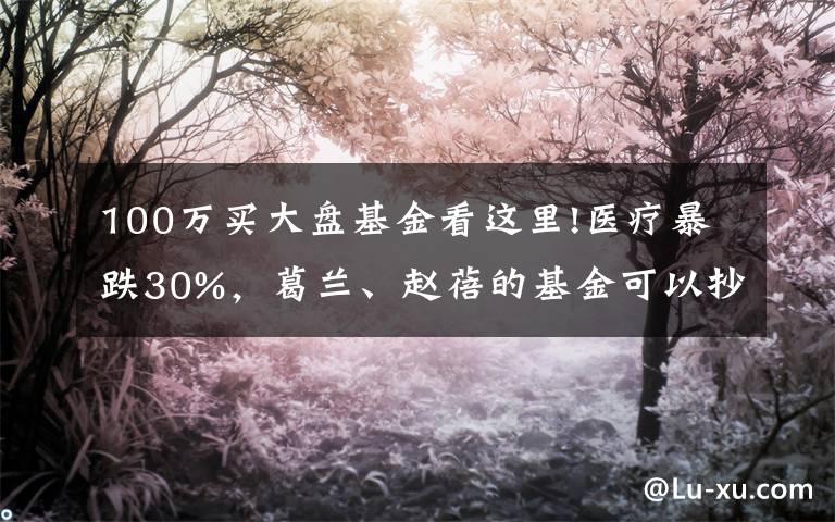 100万买大盘基金看这里!医疗暴跌30%，葛兰、赵蓓的基金可以抄底了吗？