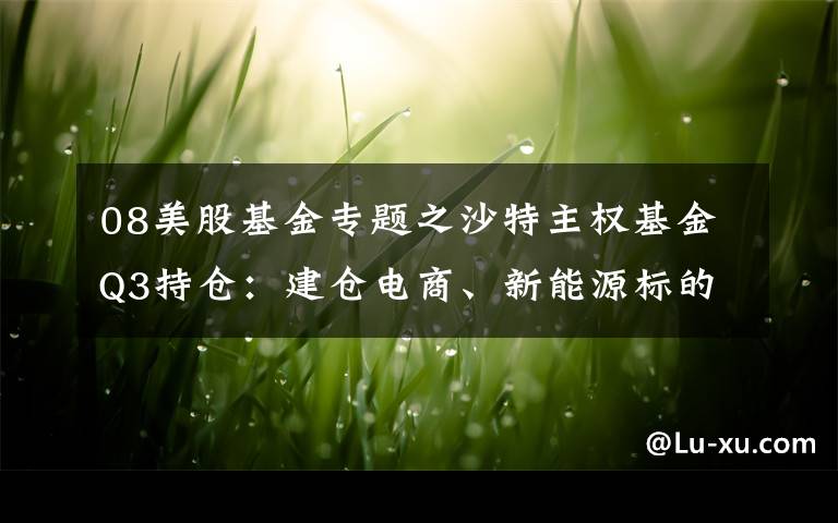 08美股基金专题之沙特主权基金Q3持仓：建仓电商、新能源标的，重仓Lucid(LCID.US)获数百亿美元增值