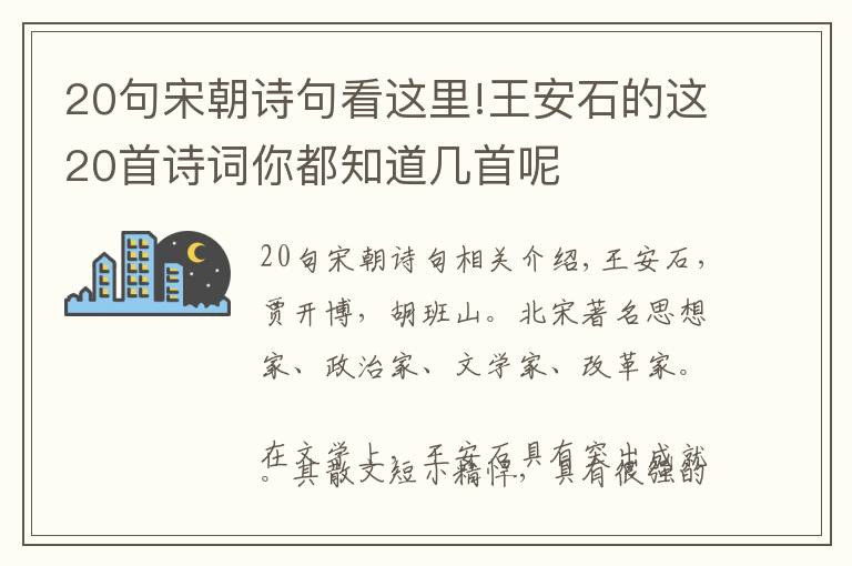 20句宋朝诗句看这里!王安石的这20首诗词你都知道几首呢