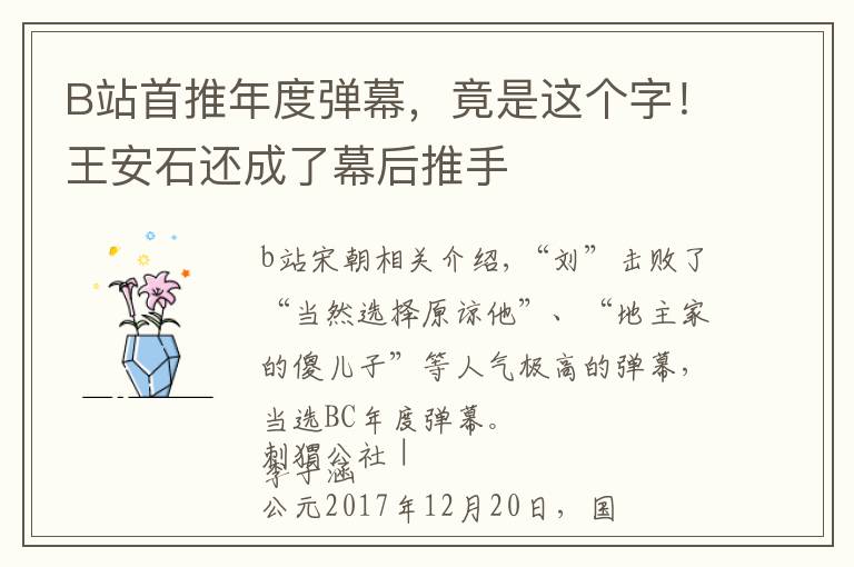 B站首推年度弹幕，竟是这个字！王安石还成了幕后推手文章配图