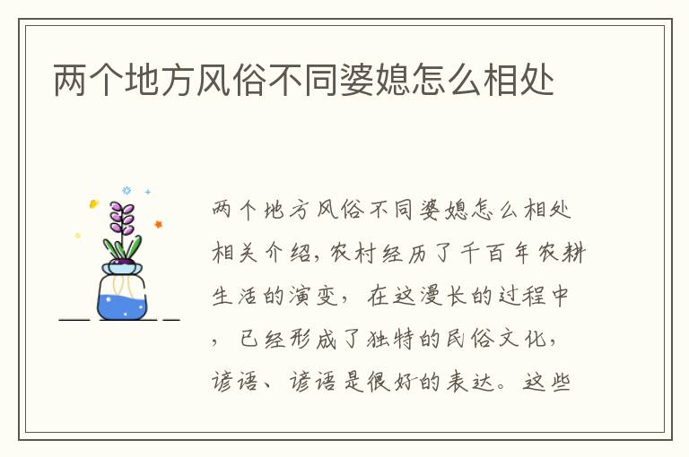 两个地方风俗不同婆媳怎么相处