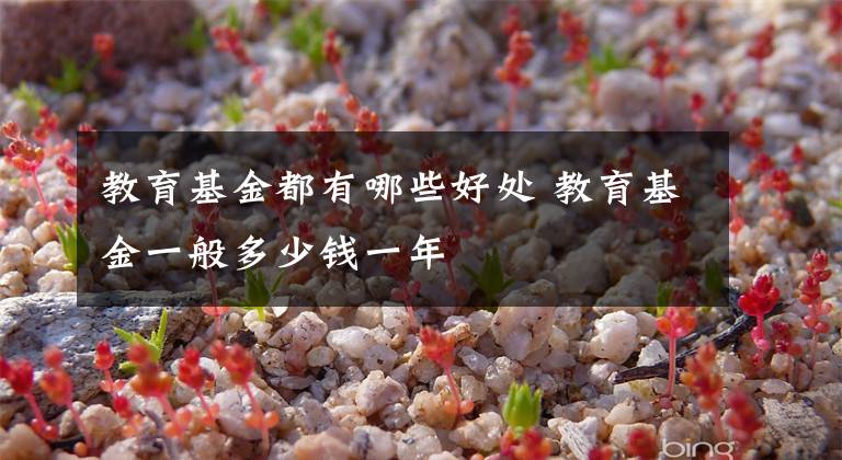 教育基金都有哪些好处 教育基金一般多少钱一年文章配图
