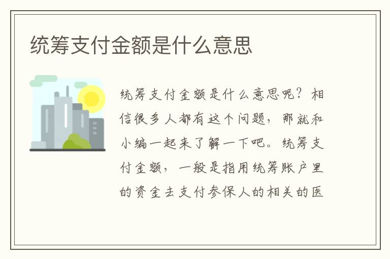 统筹支付金额是什么意思