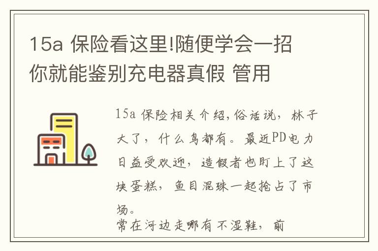 15a 保险看这里!随便学会一招 你就能鉴别充电器真假 管用