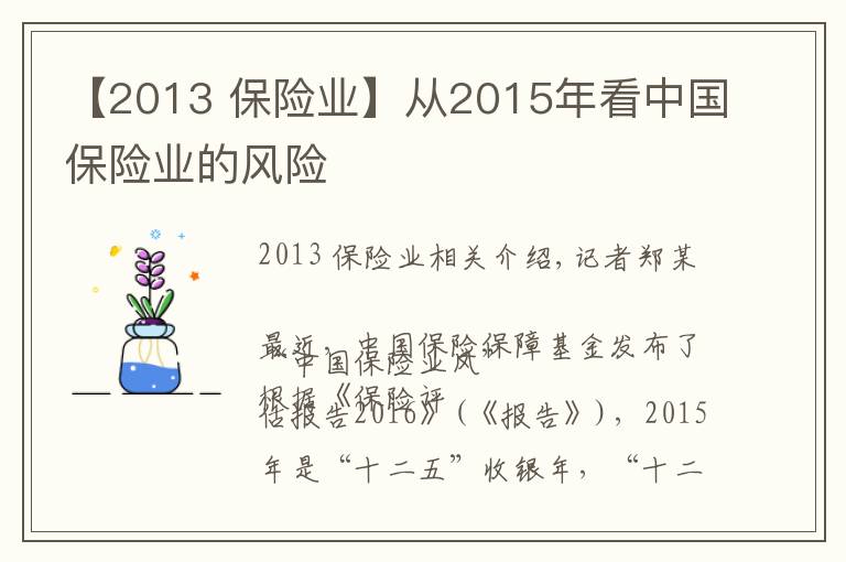 【2013 保险业】从2015年看中国保险业的风险