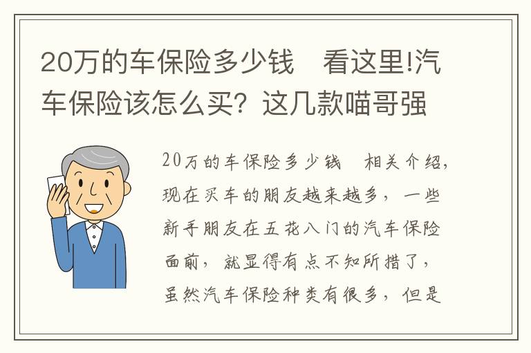 20万的车保险多少钱	看这里!汽车保险该怎么买？这几款喵哥强烈推荐，买了让你省心省事