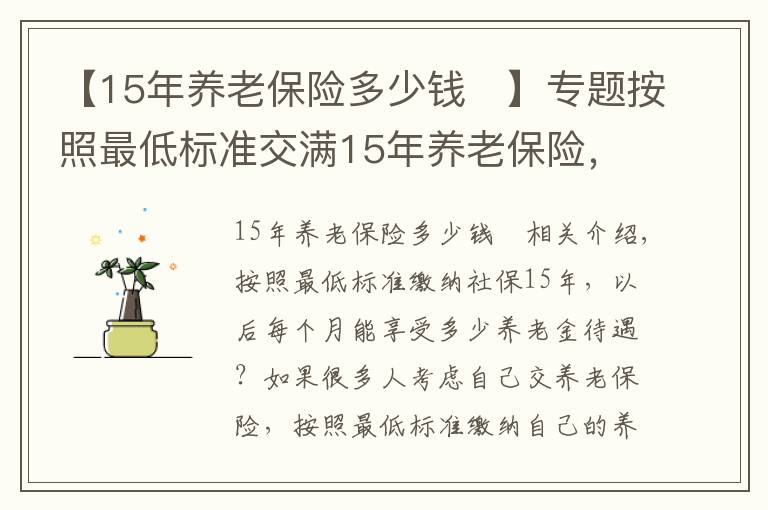 【15年养老保险多少钱	】专题按照最低标准交满15年养老保险，每个月可以享受多少退休金？