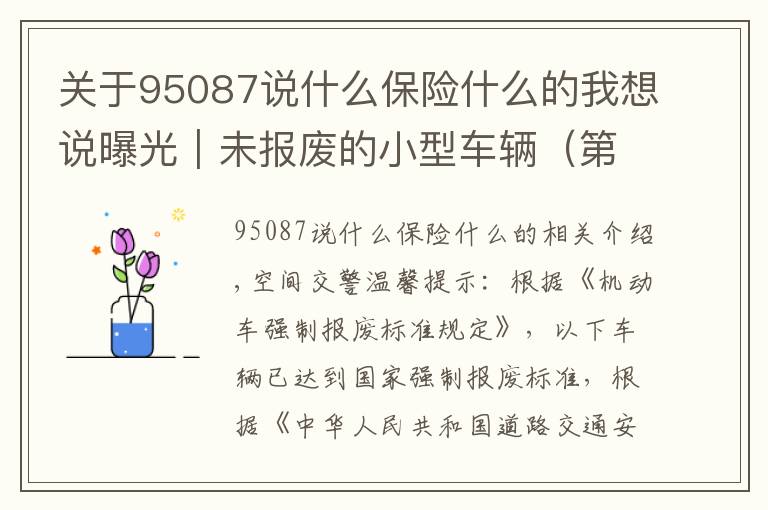 关于95087说什么保险什么的我想说曝光｜未报废的小型车辆（第七期）