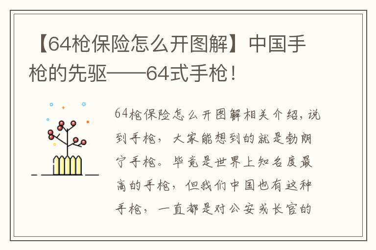 【64枪保险怎么开图解】中国手枪的先驱——64式手枪！