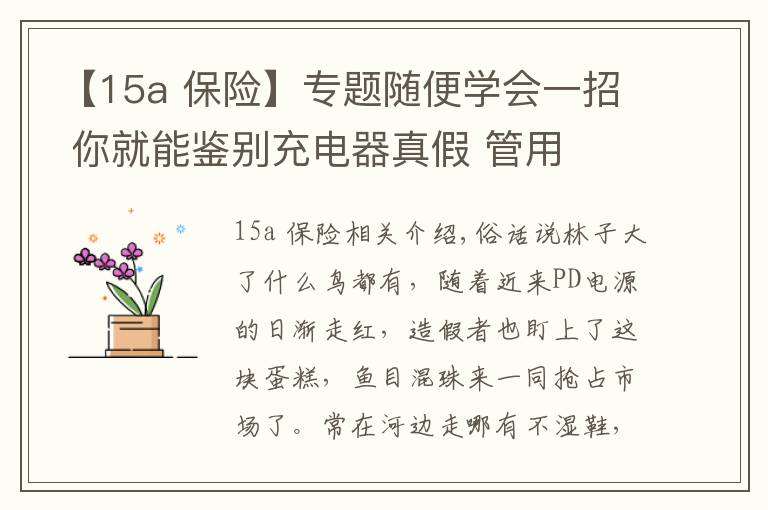 【15a 保险】专题随便学会一招 你就能鉴别充电器真假 管用