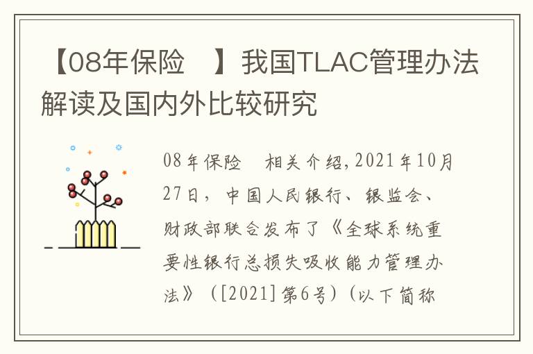 【08年保险	】我国TLAC管理办法解读及国内外比较研究