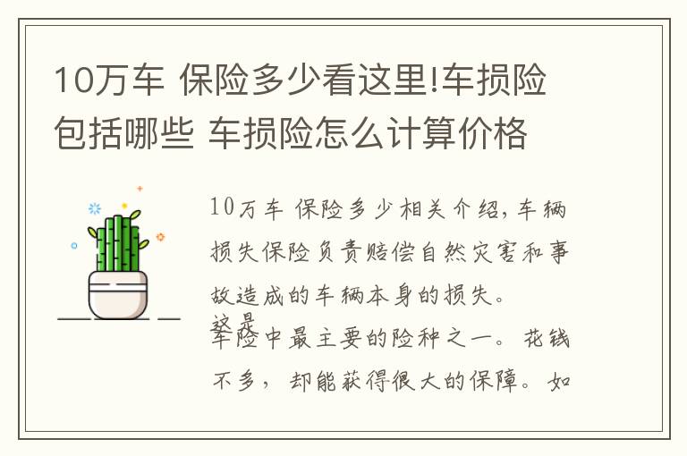 10万车 保险多少看这里!车损险包括哪些 车损险怎么计算价格