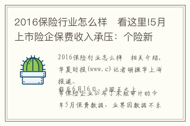 2016保险行业怎么样	看这里!5月上市险企保费收入承压：个险新单销售乏力，板块指数下跌超两成