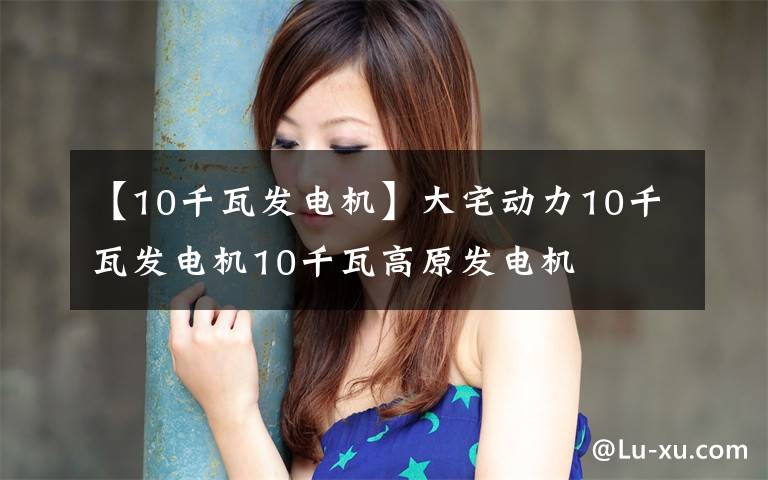 【10千瓦发电机】大宅动力10千瓦发电机10千瓦高原发电机