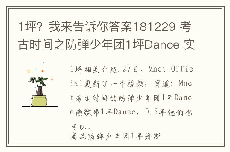 1坪？我来告诉你答案181229 考古时间之防弹少年团1坪Dance 实力少年团~