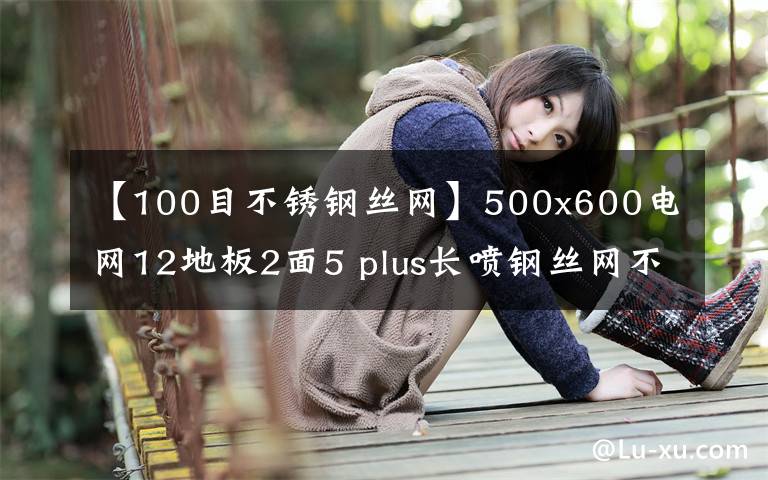 【100目不锈钢丝网】500x600电网12地板2面5 plus长喷钢丝网不锈钢冲床金属丝网