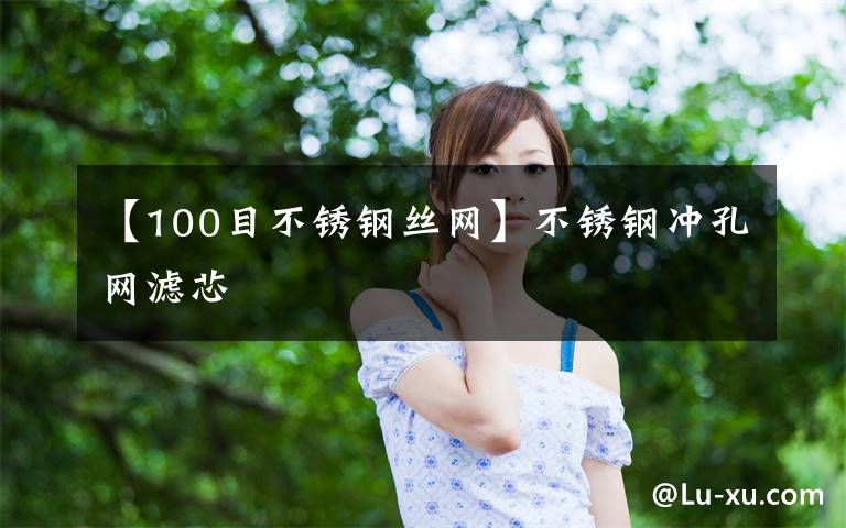 【100目不锈钢丝网】不锈钢冲孔网滤芯