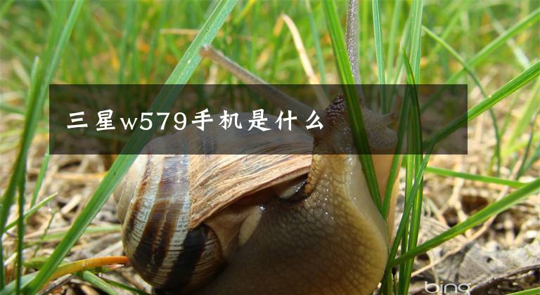 三星w579手机是什么