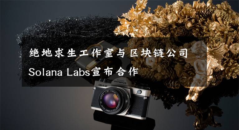 绝地求生工作室与区块链公司Solana Labs宣布合作文章配图