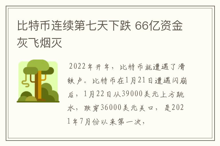 比特币连续第七天下跌 66亿资金灰飞烟灭