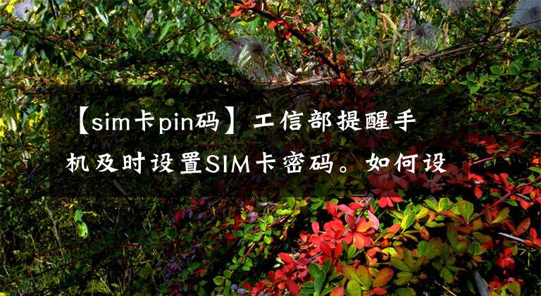 【sim卡pin码】工信部提醒手机及时设置SIM卡密码。如何设置？有什么用？攻略来了