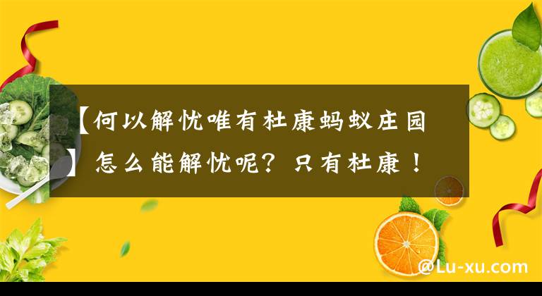 【何以解忧唯有杜康蚂蚁庄园】怎么能解忧呢？只有杜康！