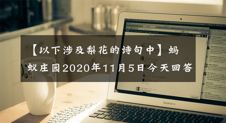 【以下涉及梨花的诗句中】蚂蚁庄园2020年11月5日今天回答的与梨花相关的诗句中，哪一句梨花是指真正的梨花？