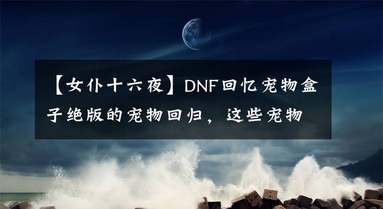 【女仆十六夜】DNF回忆宠物盒子绝版的宠物回归，这些宠物真的不能错过。文章配图