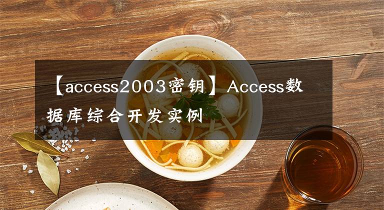 【access2003密钥】Access数据库综合开发实例