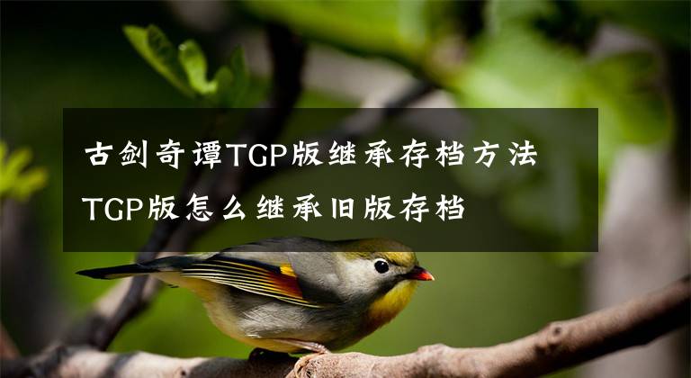 古剑奇谭TGP版继承存档方法 TGP版怎么继承旧版存档