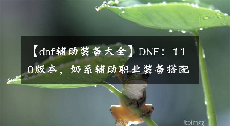 【dnf辅助装备大全】DNF：110版本，奶系辅助职业装备搭配推荐文章配图