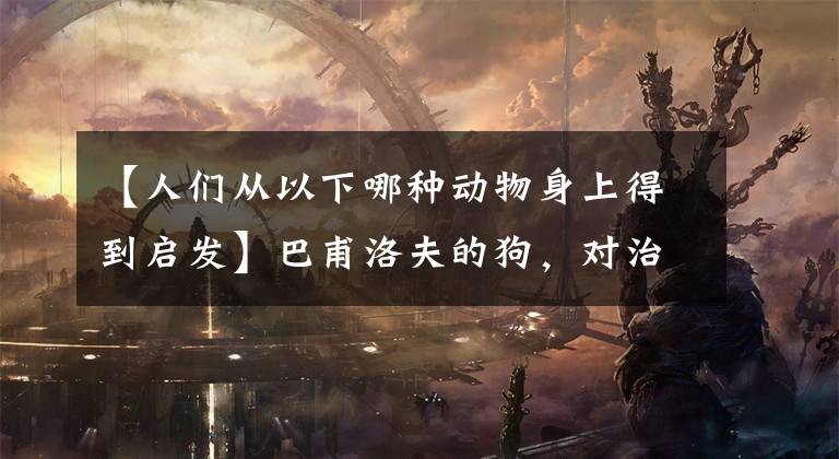 【人们从以下哪种动物身上得到启发】巴甫洛夫的狗，对治疗失眠有什么启示？文章配图