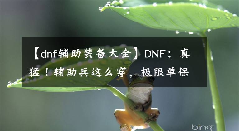 【dnf辅助装备大全】DNF：真猛！辅助兵这么穿，极限单保主C碾压奥兹玛文章配图