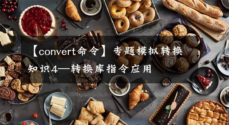 【convert命令】专题模拟转换知识4—转换库指令应用