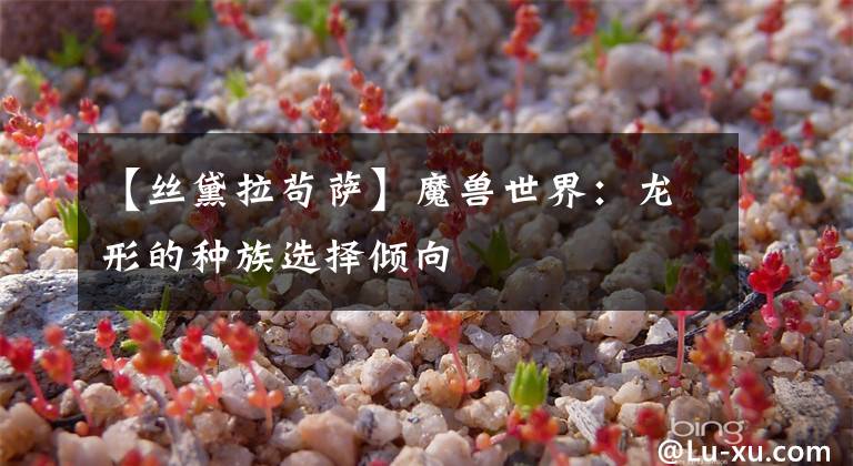 【丝黛拉苟萨】魔兽世界：龙形的种族选择倾向文章配图