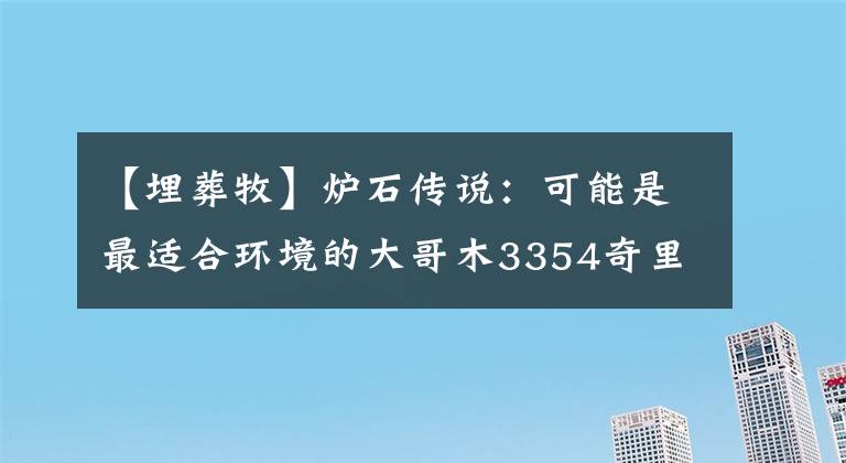 【埋葬牧】炉石传说：可能是最适合环境的大哥木3354奇里亚斯大哥木文章配图